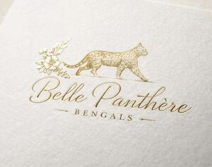 Holly Oates - Bengal breeder